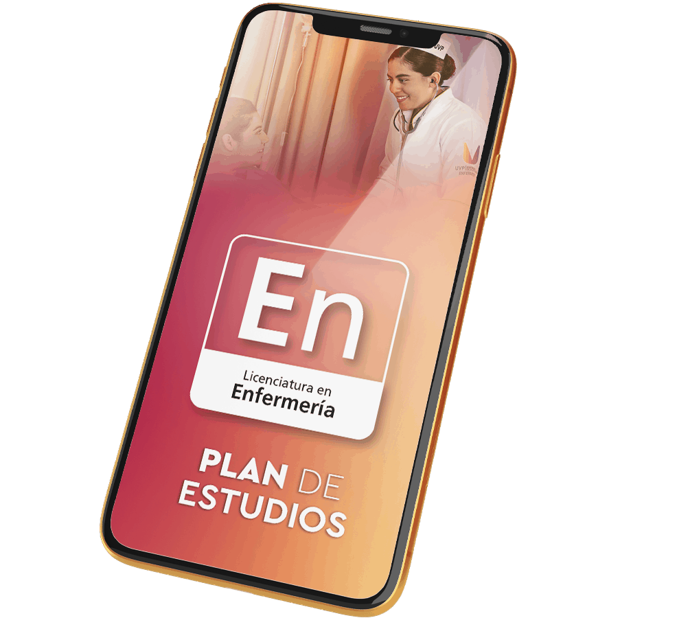Plan de Estudios