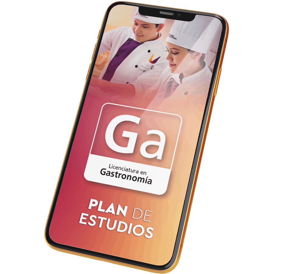 Plan de Estudios